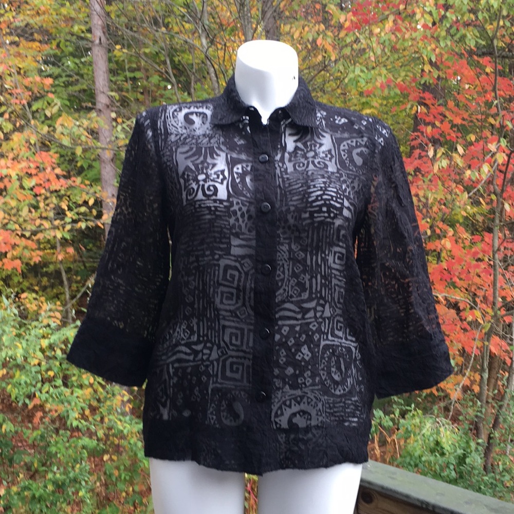 Ruby Rd. Aztec Pattern Black Sheer Top Size 12 - image 1